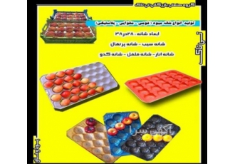 بسته بندی سیب صادراتی