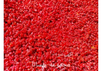فروش زرشک _  قیمت زرشک 1402