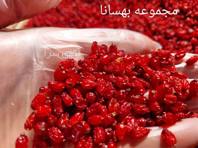 آگهی های محصولات زراعی و باغی - ارومیه