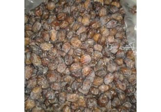 فروش خرمای خاصویی درجه یک جم