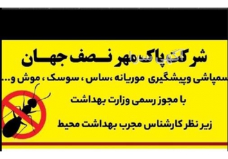 موریانه زدایی و سم پاشی موریانه با چک صیادی در اصفهان شرکت پاک مهر نصف