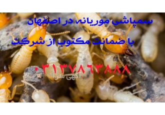 سمپاشی کک در منازل و امکان عمومی با بهترین کیفیت در اصفهان سمپاشی کک
