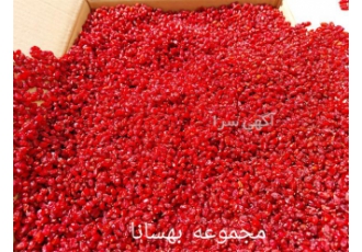 فروش انواع زرشک صادراتی ،فروش زرشک تازه
