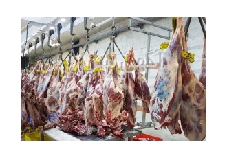 خرید گوشت از کشتارگاه در تهران فروش ویژه گوشت بره گوسفند گوساله مرغ