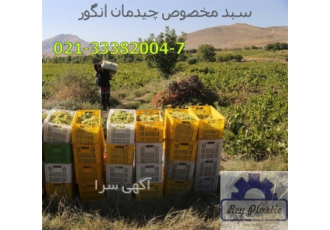 سبد ۲۰ کیلویی انگور سبد مخصوص چیدن انگور در تاکستان سبد انگور 20