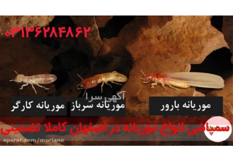 ارائه نازلترین قیمت سمپاشی ادارات و سایر اماکن
