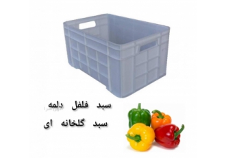 سبد گلخانه ، سبد فلفل دلمه ای