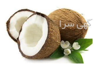 فروش پودر نارگیل خشک و چرب با قیمت عالی