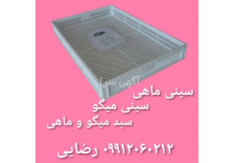 سبد میگو و ماهی سینی ماهی سینی میگو در بندرعباس تولید و فروش سبد