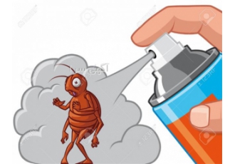 سمپاشی سوسک توسط سفیران سلامت نصف جهان
