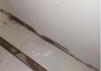 خدمات سمپاشی منزل و سمپاشی شرکت و کارخانه در شاهین شهر ارائه خدمات