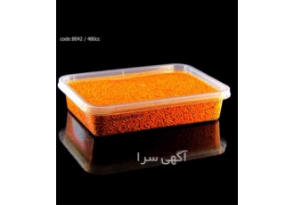 فروش ظرف خرما پلاستیکی ، ظرف بسته بندی خرما مستطیل فروش ظرف خرما پلاستیکی ، ظرف بسته بندی خرما مستطیل