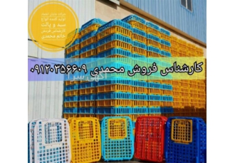 فروش سبد حمل مرغ