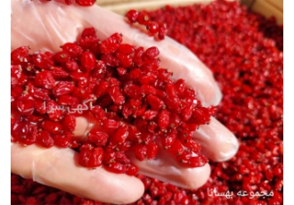 فروش زرشک با کیفیت و مرغوب به صورت عمده