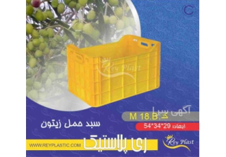 فروش سبد زیتون