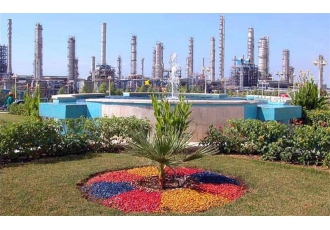 اجرای و نگهداری فضای سبز حیاط در تهران اجرای و نگهداری فضای سبز حیاط