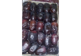 خرید و فروش عمده خرمای ربی