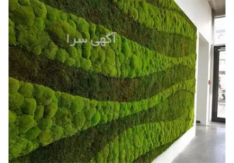 ماس وال دیوار خزه ای گرین وال دیوار سبز خزه در تهران ماس وال دیوار خزه
