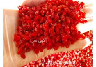 قیمت زرشک ، فروش زرشک صادراتی با کیفیت