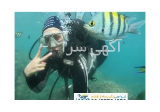 موسسه غواصی نگی ساحل قشم