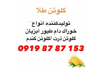 گلوتن ذرت گلوتن ذرت گلوتن طلا قدیمی ترین و بزرگترین تولیدکننده گلوتن