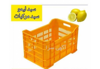 تولید و فروش سبد میوه