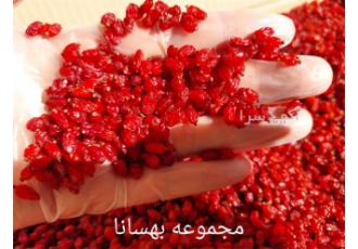 خرید و فروش عمده زرشک - قیمت زرشک