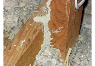 سمپاشی تضمینی موریانه با مجوز بهداشت در اصفهان سمپاشی تضمینی موریانه