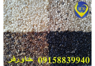 فروش کنجد افغانستان مشهد فروش کنجد پاکستانی در مشهد وارد کننده مستقیم