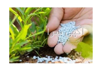پلیمر سوپر جاذب آب تکاپ در فردیس کمبود منابع آب شیرین یکی از بزرگترین