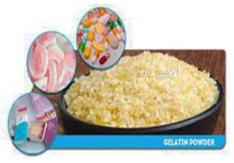 خرید عمده پودر ژلاتین