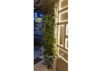 اجرای دیوار سبز فلاور باکس green wall در آستانه اشرفیه اجرای دیوار