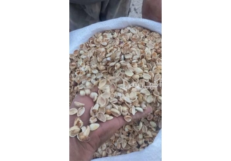 پوست پسته صادراتی پوست پسته عمده پوست بادام در مشهد با سلام خدمت