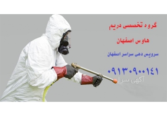 از بین بردن موریانه به صورت قطعی