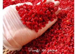 فروش زرشک و فروش زعفران به صورت مستقیم
