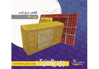 بهترین قیمت سبد حمل مرغ در کشور با کیفیتی بی نظیر