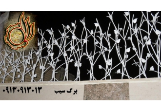 حفاظ آذین سپاهان اولین تولید کننده حفاظ ساختمان طرح بوته خاری در اصفهان