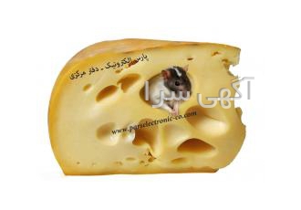 دستگاه فراری دهنده تخصصی موش ازباغ دور کننده موش از مزارع گلخانه ها