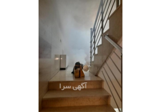 سمپاشی موریانه و نابودی موریانه