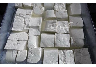 فروش اسانس پودری و مایع پنیر آلمان فروش اسانس پودری و مایع پنیر آلمان