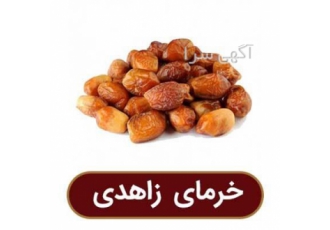 فروش خرما