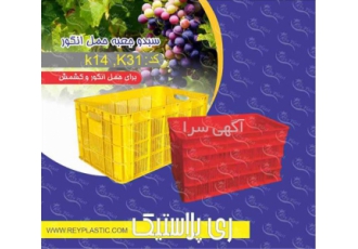 سبد حمال 25 کیلویی سیب و پرتقال