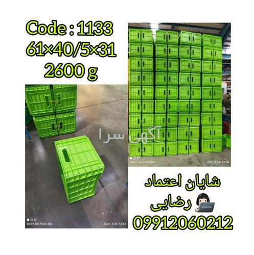 آگهی های خدمات بسته بندی - بندر کنگان