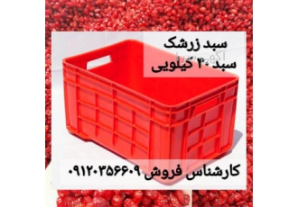 فروش سبد زرشک ، تولید سبد 40 کیلویی