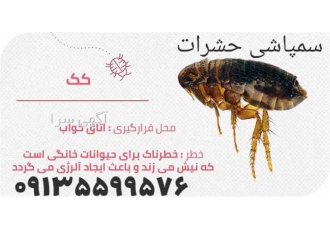 سمپاشی بدون بو و لک منازل مسکونی در اصفهان خدمات سمپاشی و سمپاشی بدون