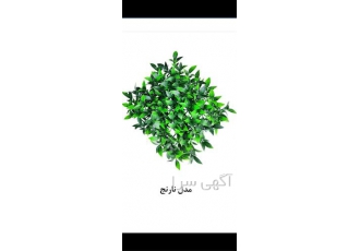 فروش ویژه گیرین وال طرح و رنگ بندی های دیوار در تهران فروش ویژه گیرین