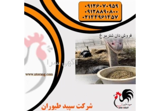 فروش خوراک آماده شترمرغ از جوجه ۷ روزه تا مولد در شهریار فروش خوراک