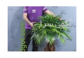 ساخت درخت نخل مصنوعی در ارتفاع ۱/۵ متر تا ۴ متر در تهران گلفروش سبدگل