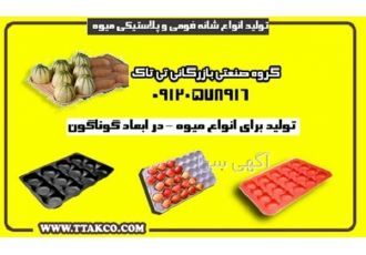 شانه میوه پلاستیکی شانه پلاستیکی در رامسر شانه میوه پلاستیکی شانه