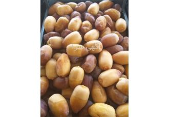 خرما کبکاب مضافتی درجه یک دشستان در آذرشهر سلام دوستان گرامی بنده باغ